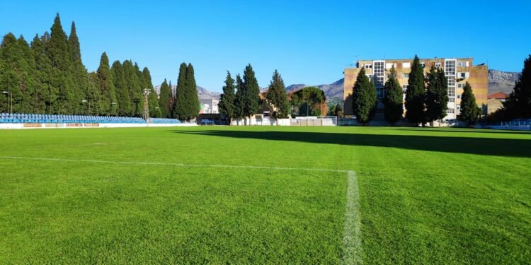 126424335_3597921366917292_3975913550825145572_o-1-750x375